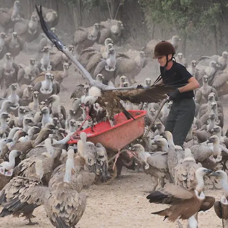 בית כפרי Observatorio De Buitres Mas De Bunyol ולדרוברס