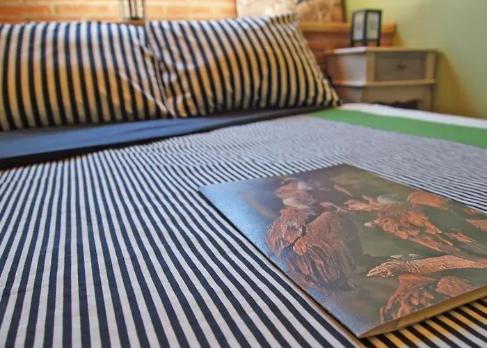 Observatorio De Buitres Mas De Bunyol Lantställe Valderrobres