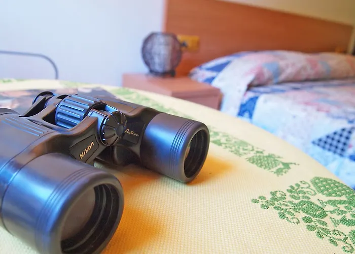 Observatorio De Buitres Mas De Bunyol Valderrobres