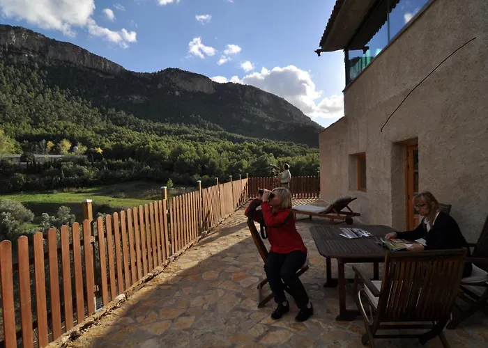 Observatorio De Buitres Mas De Bunyol *